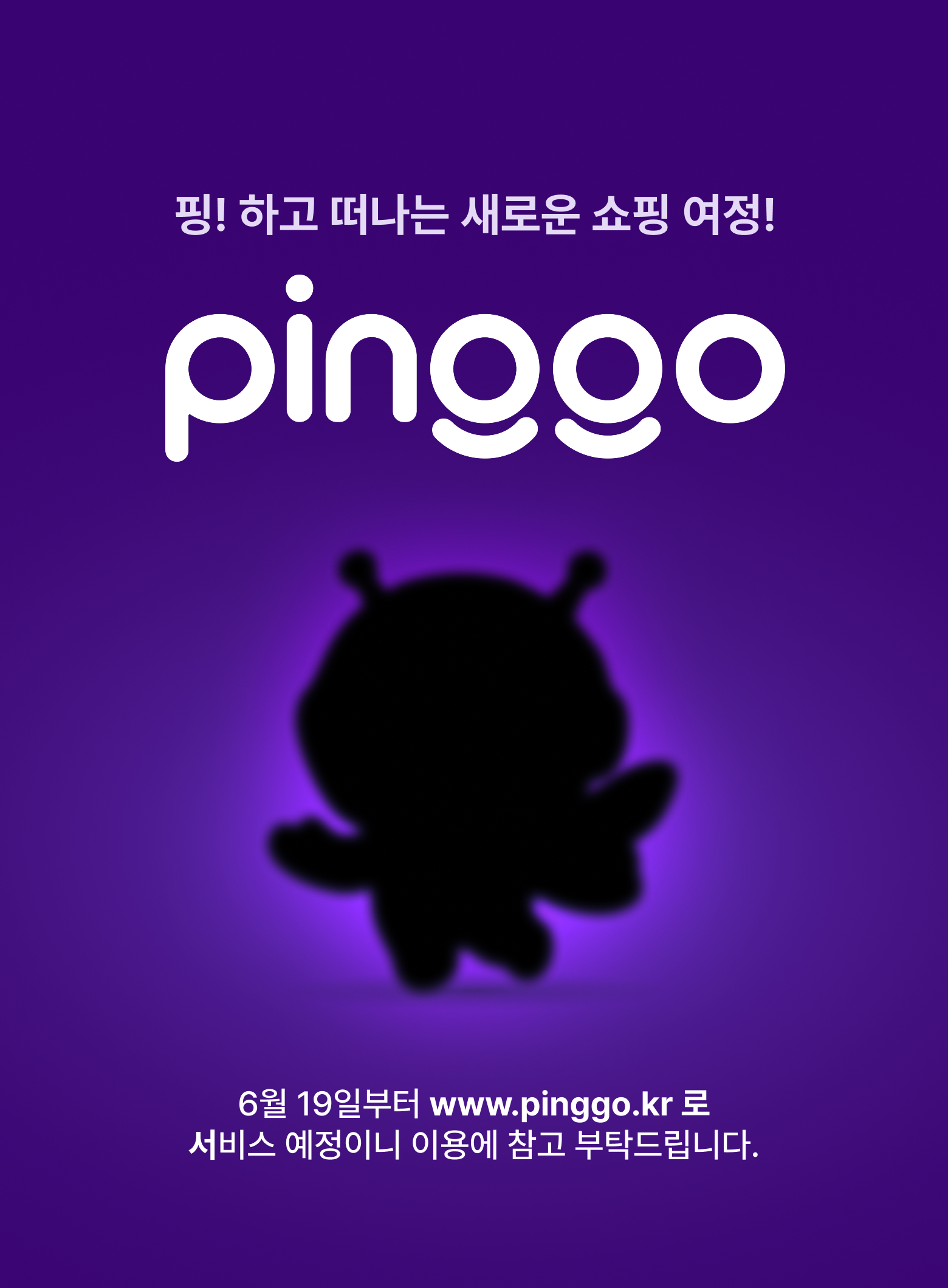 핑고 팝업 이미지